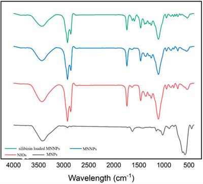 Targeted delivery of silibinin via magnetic niosomal nanoparticles: potential application in treatment of colon cancer cells